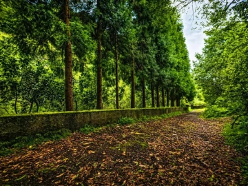 Terreno para Venda em Ponta Delgada