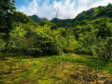 Terreno para Venda em Ponta Delgada