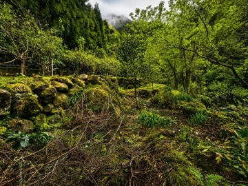 Terreno para Venda em Ponta Delgada