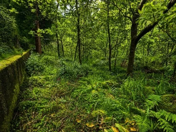 Terreno para Venda em Ponta Delgada