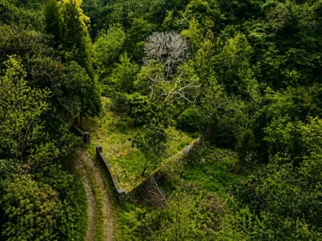 Terreno para Venda em Ponta Delgada