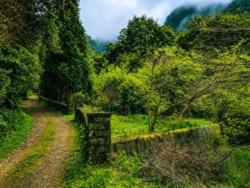 Terreno para Venda em Ponta Delgada