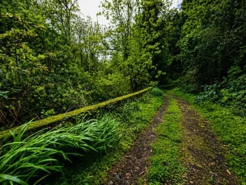 Terreno para Venda em Ponta Delgada