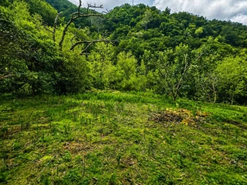 Terreno para Venda em Ponta Delgada