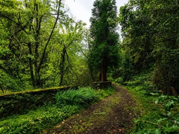 Terreno para Venda em Ponta Delgada
