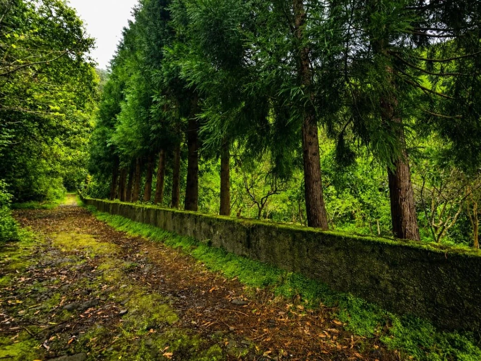 Terreno para Venda em Ponta Delgada Foto 8