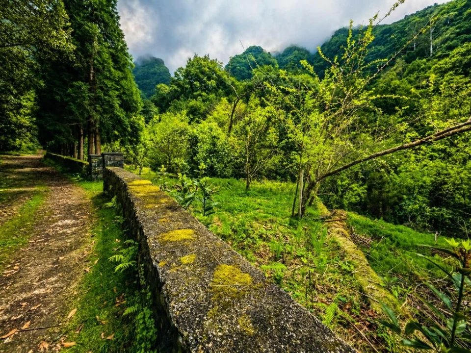 Terreno para Venda em Ponta Delgada Foto 3