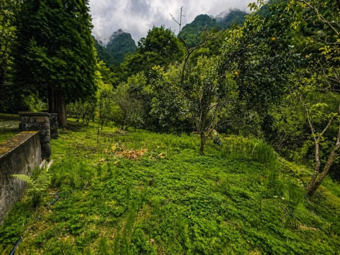 Terreno para Venda em Ponta Delgada Foto 13