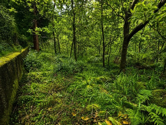Terreno para Venda em Ponta Delgada Foto 18