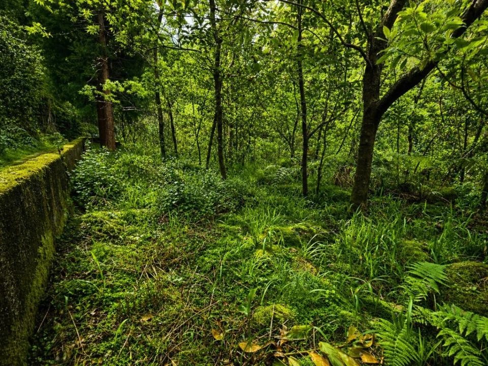 Terreno para Venda em Ponta Delgada Foto 18