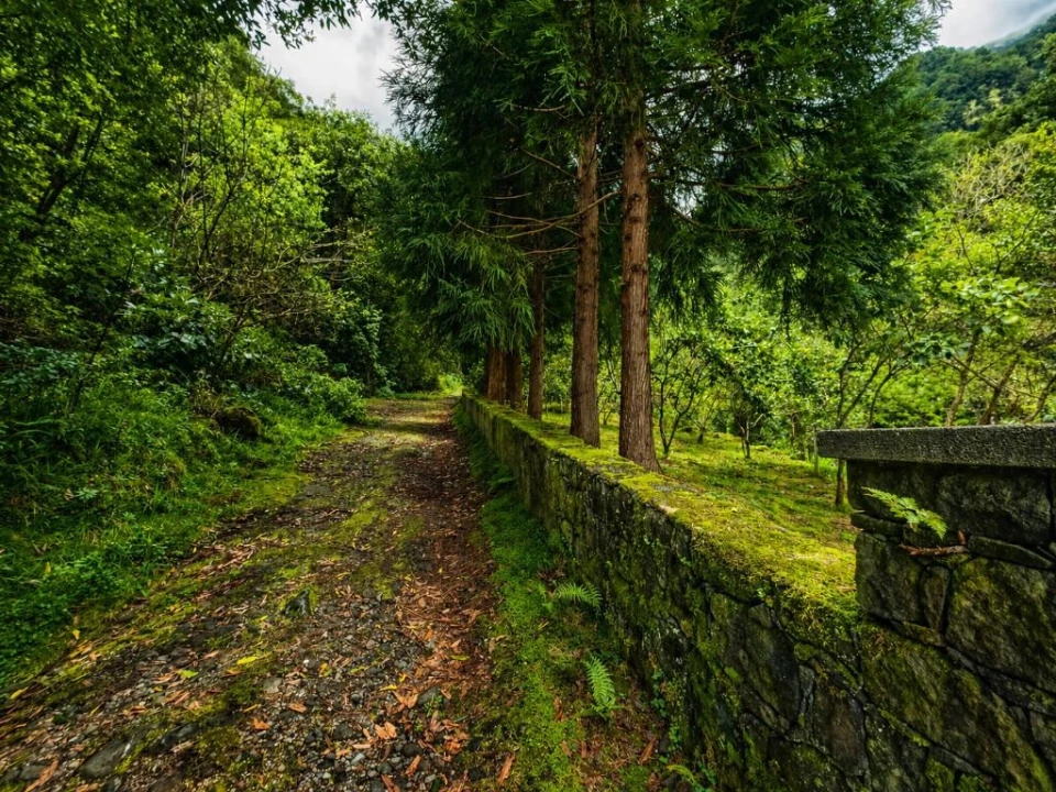 Terreno para Venda em Ponta Delgada Foto 7