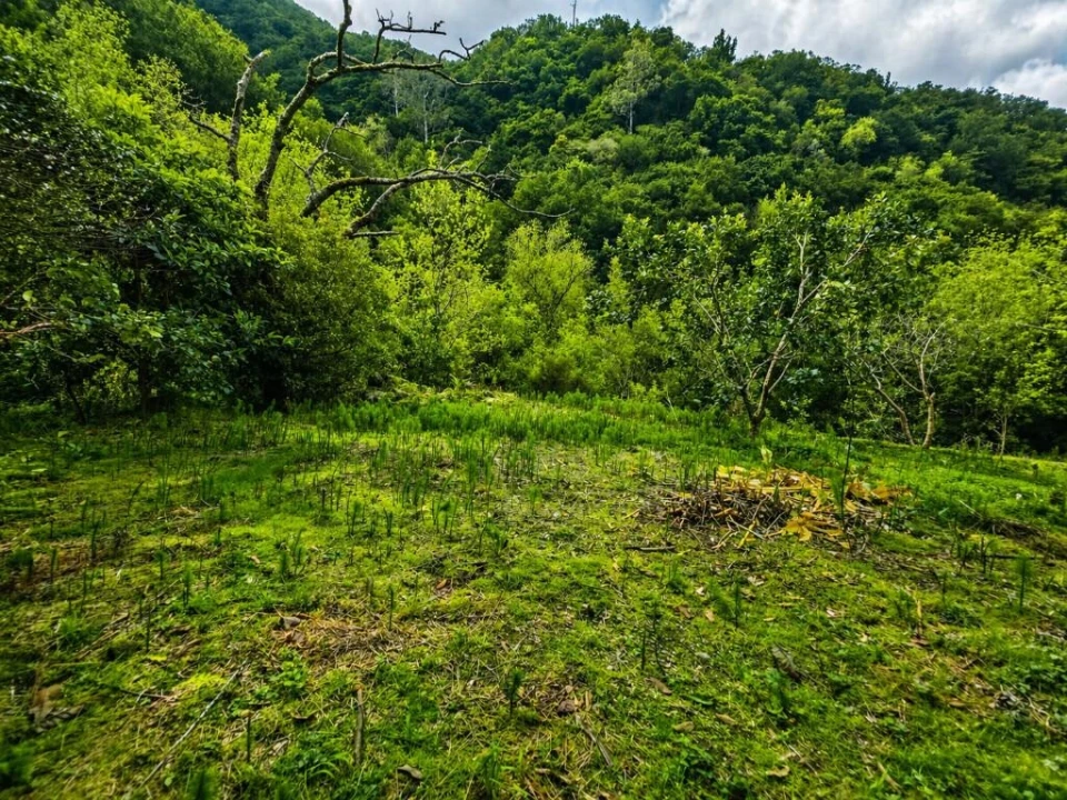 Terreno para Venda em Ponta Delgada Foto 5