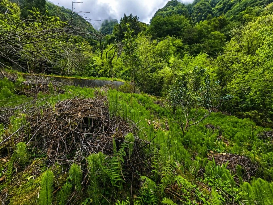 Terreno para Venda em Ponta Delgada Foto 9