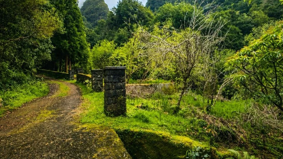 Terreno para Venda em Ponta Delgada