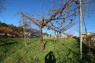 Quinta T4 para Venda em Lodares