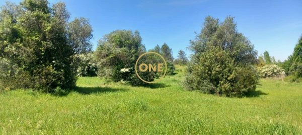 Terreno para Venda em Olaia e Paço