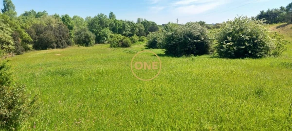 Terreno para Venda em Olaia e Paço