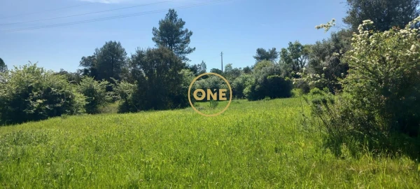 Terreno para Venda em Olaia e Paço