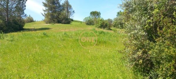 Terreno para Venda em Olaia e Paço
