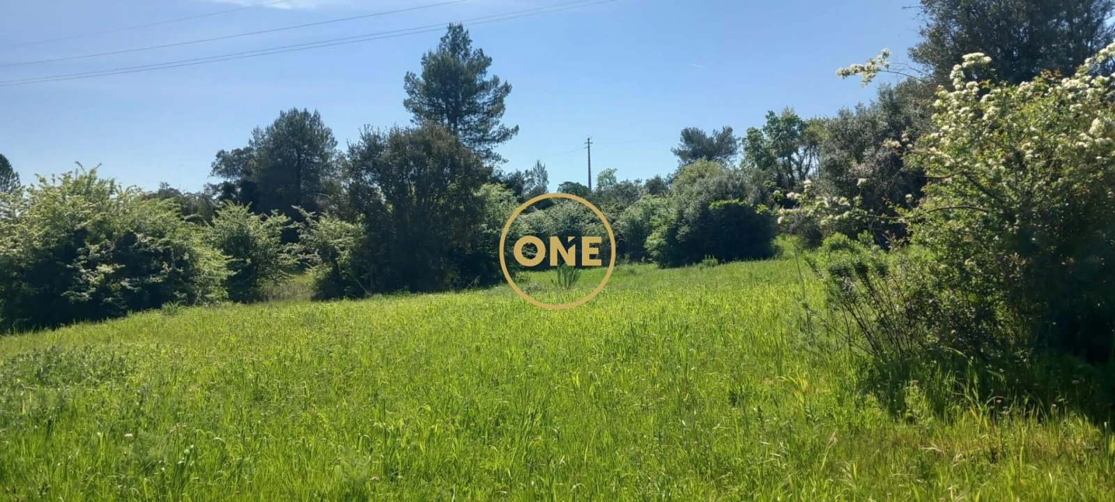 Terreno para Venda em Olaia e Paço Foto 2