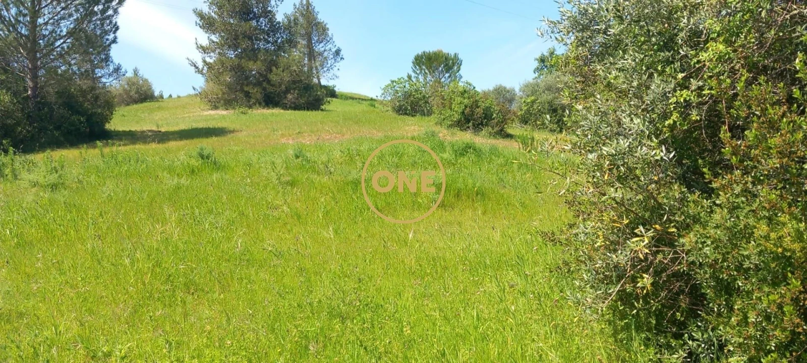 Terreno para Venda em Olaia e Paço Foto 3