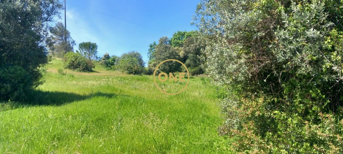 Terreno para Venda em Olaia e Paço Foto 5