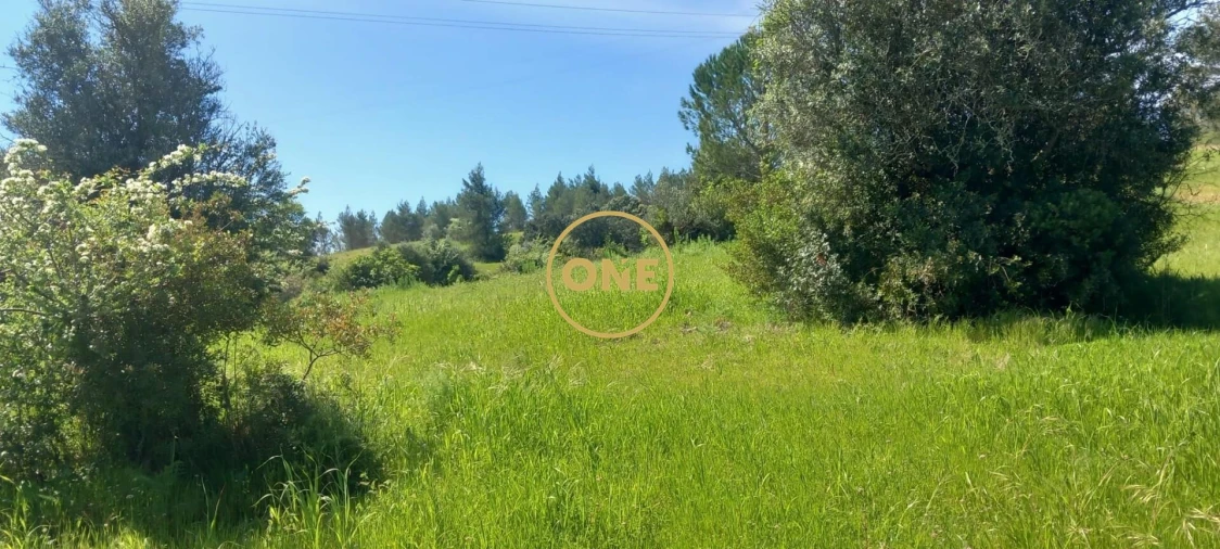 Terreno para Venda em Olaia e Paço Foto 6