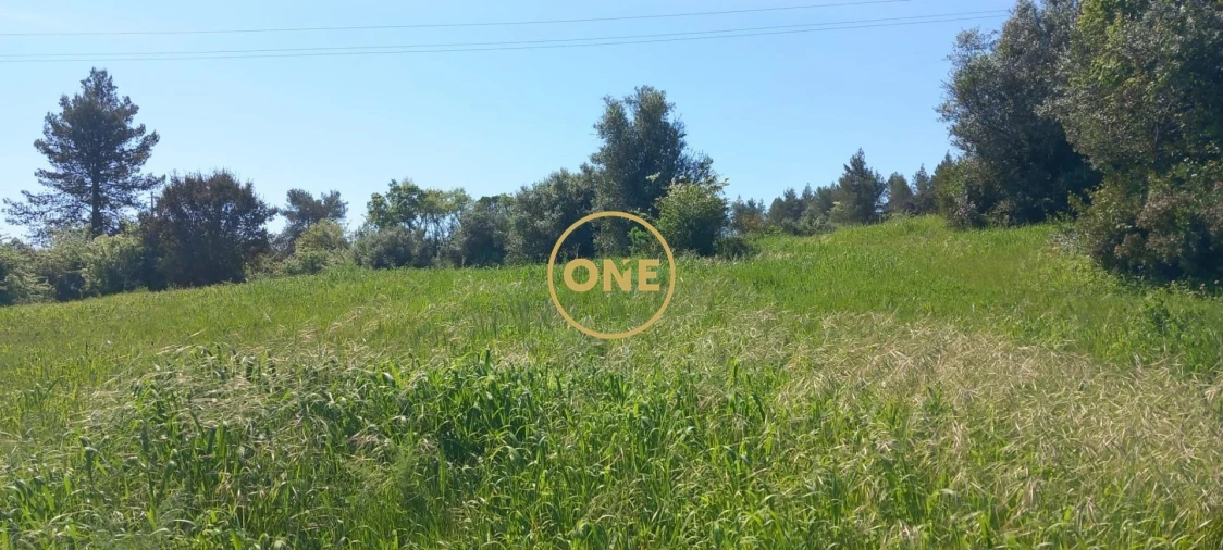 Terreno para Venda em Olaia e Paço Foto 8