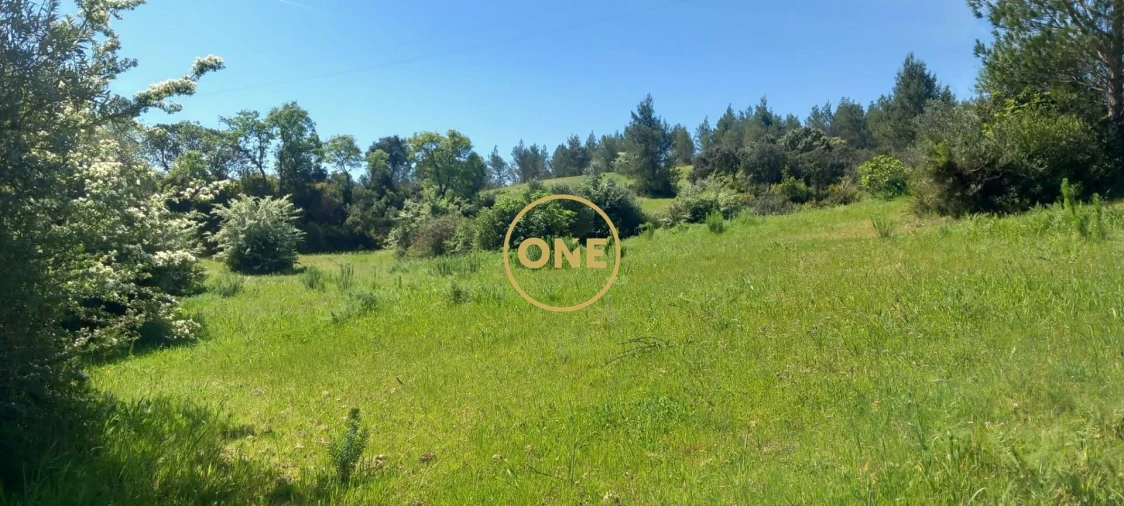 Terreno para Venda em Olaia e Paço Foto 4