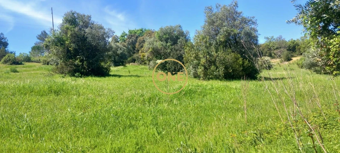 Terreno para Venda em Olaia e Paço Foto 7