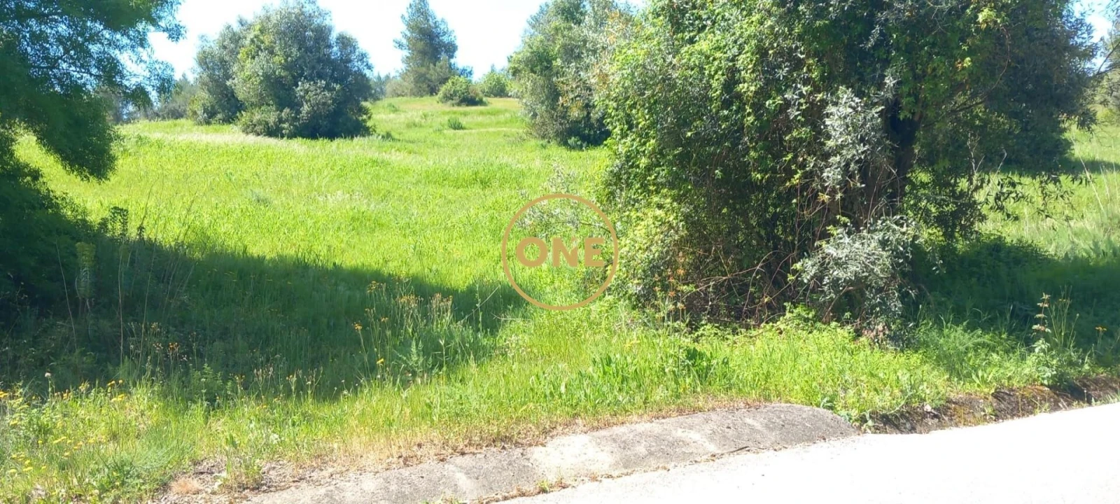 Terreno para Venda em Olaia e Paço Foto 11