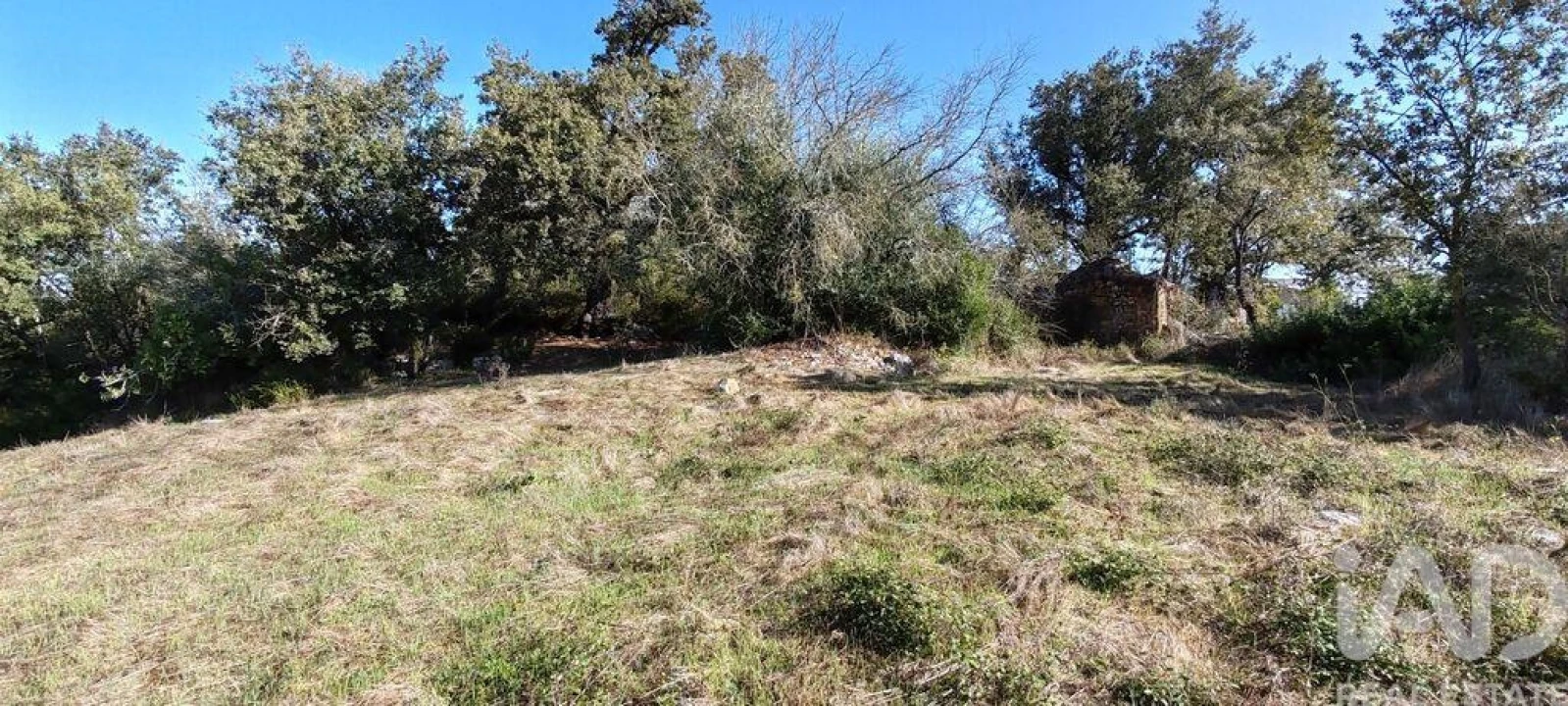 Terreno para Venda em Santiago da Guarda Foto 10