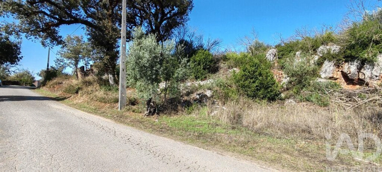 Terreno para Venda em Santiago da Guarda Foto 14