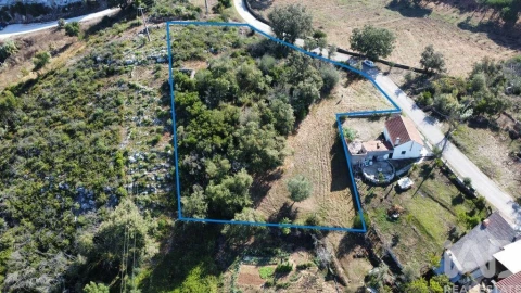 Terreno para Venda em Santiago da Guarda