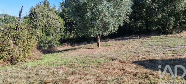Terreno para Venda em Santiago da Guarda