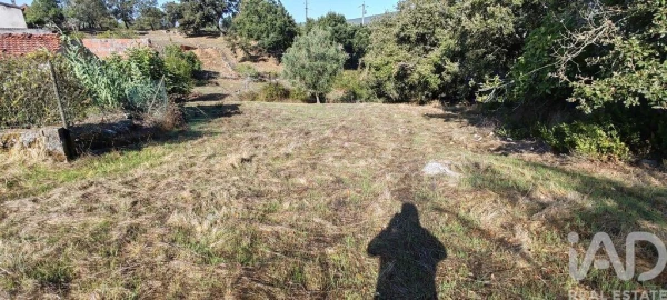 Terreno para Venda em Santiago da Guarda