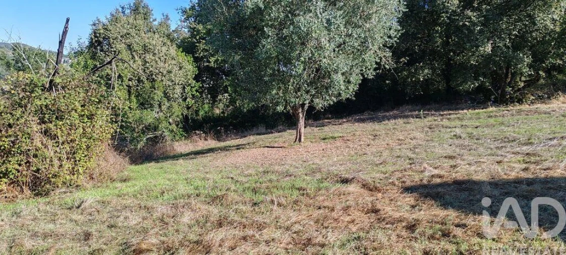 Terreno para Venda em Santiago da Guarda Foto 5