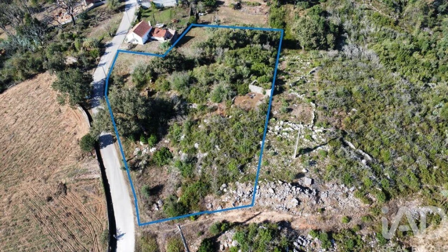Terreno para Venda em Santiago da Guarda Foto 4