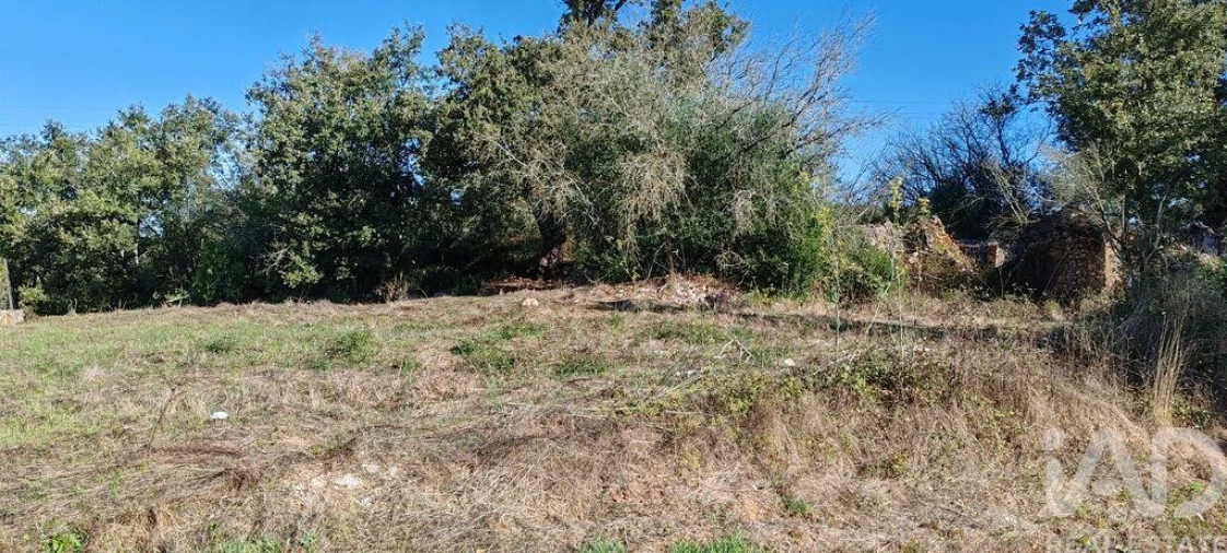 Terreno para Venda em Santiago da Guarda Foto 13