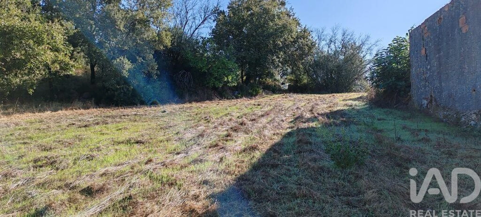 Terreno para Venda em Santiago da Guarda Foto 8