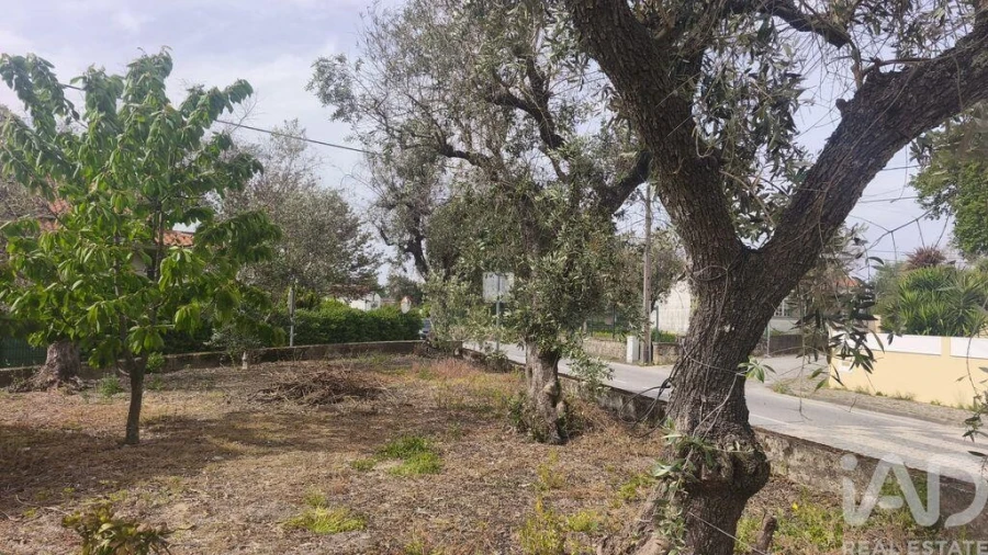 Moradia T3 para Venda em Oliveira do Hospital e São Paio de Gramaços Foto 4