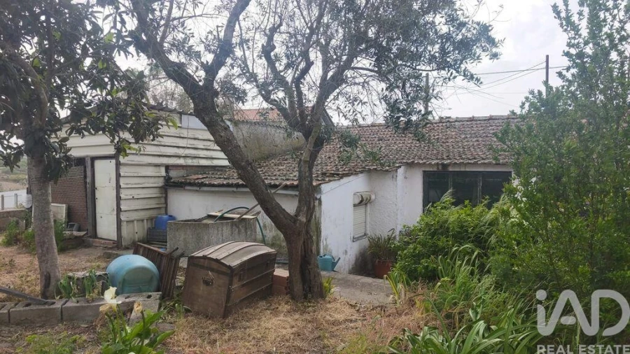 Moradia T3 para Venda em Oliveira do Hospital e São Paio de Gramaços Foto 5