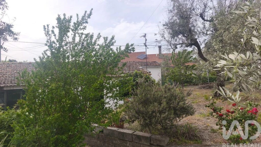 Moradia T3 para Venda em Oliveira do Hospital e São Paio de Gramaços Foto 2