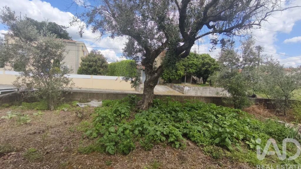 Moradia T3 para Venda em Oliveira do Hospital e São Paio de Gramaços Foto 28