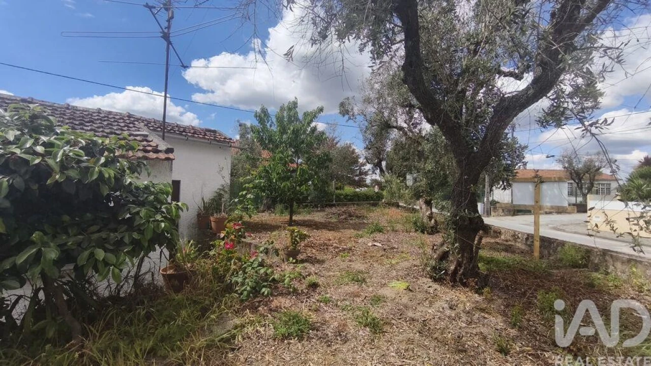 Moradia T3 para Venda em Oliveira do Hospital e São Paio de Gramaços Foto 8