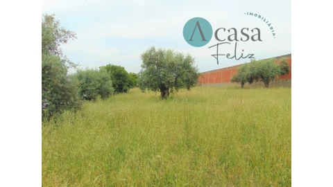 Terreno para Venda em Serra e Junceira