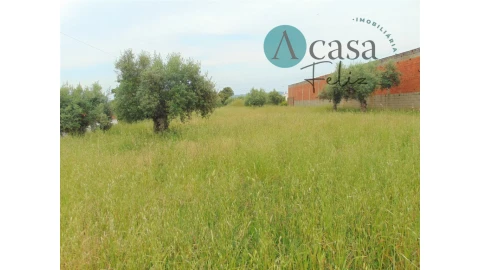 Terreno para Venda em Serra e Junceira