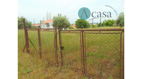 Terreno para Venda em Serra e Junceira