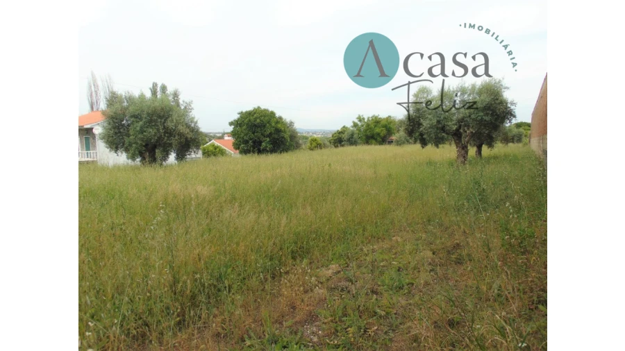 Terreno para Venda em Serra e Junceira Foto 4