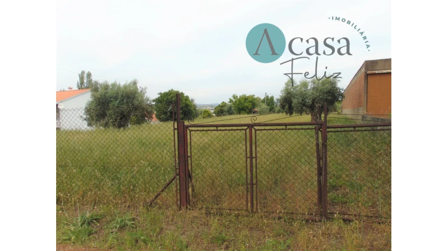 Terreno para Venda em Serra e Junceira Foto 3